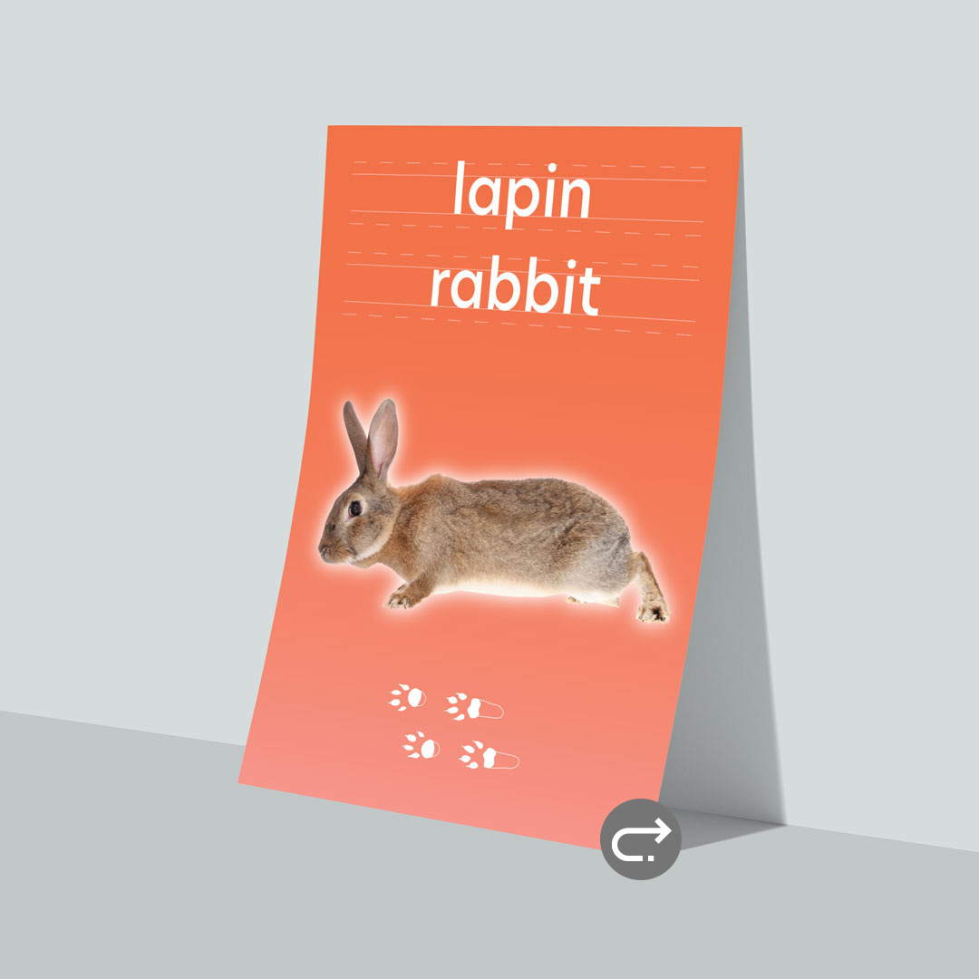 Une affiche d'un lapin avec le mot français et anglais.