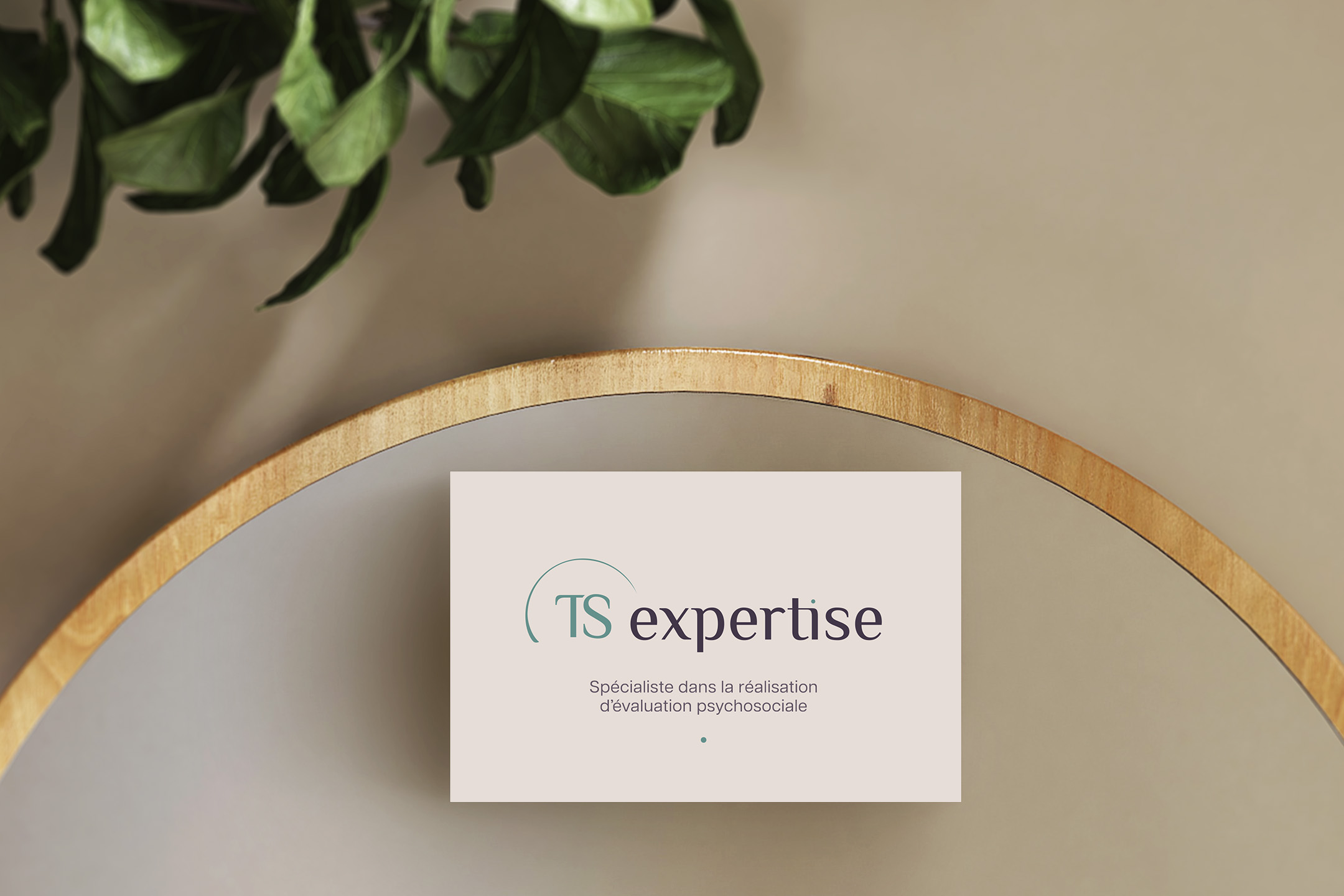 Carte professionnelle TS expertise
